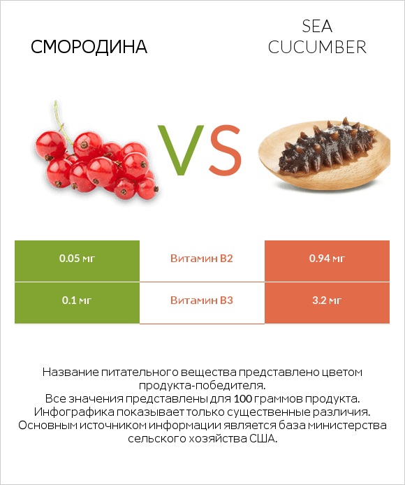 Смородина vs Sea cucumber infographic