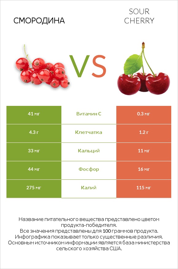 Смородина vs Sour cherry infographic