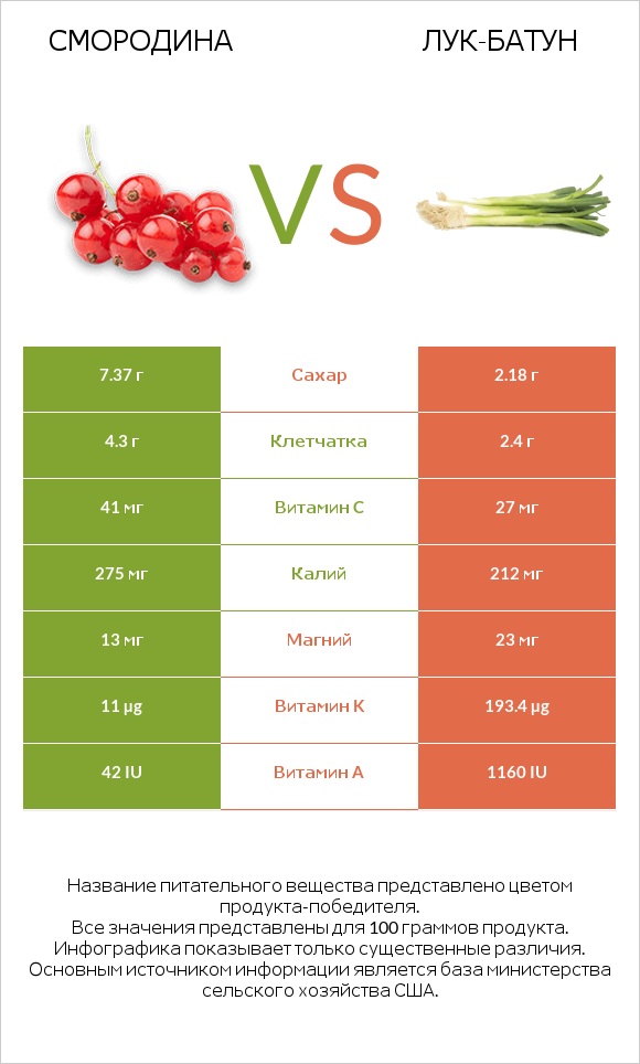 Смородина vs Лук-батун infographic