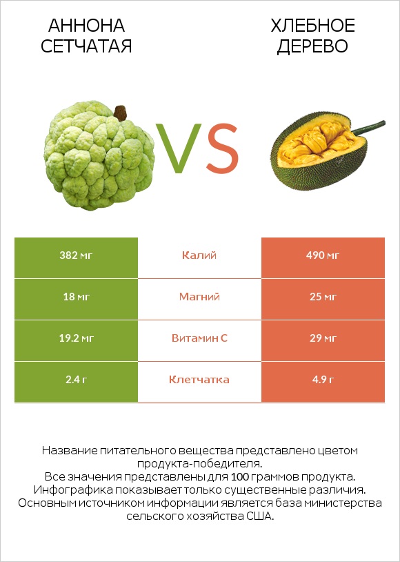 Аннона сетчатая vs Хлебное дерево infographic