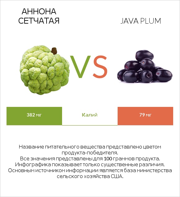 Аннона сетчатая vs Java plum infographic