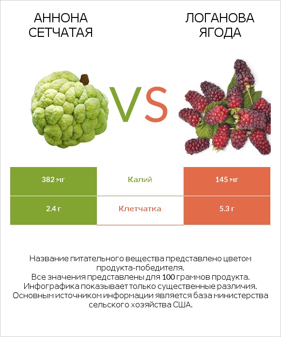 Аннона сетчатая vs Логанова ягода infographic