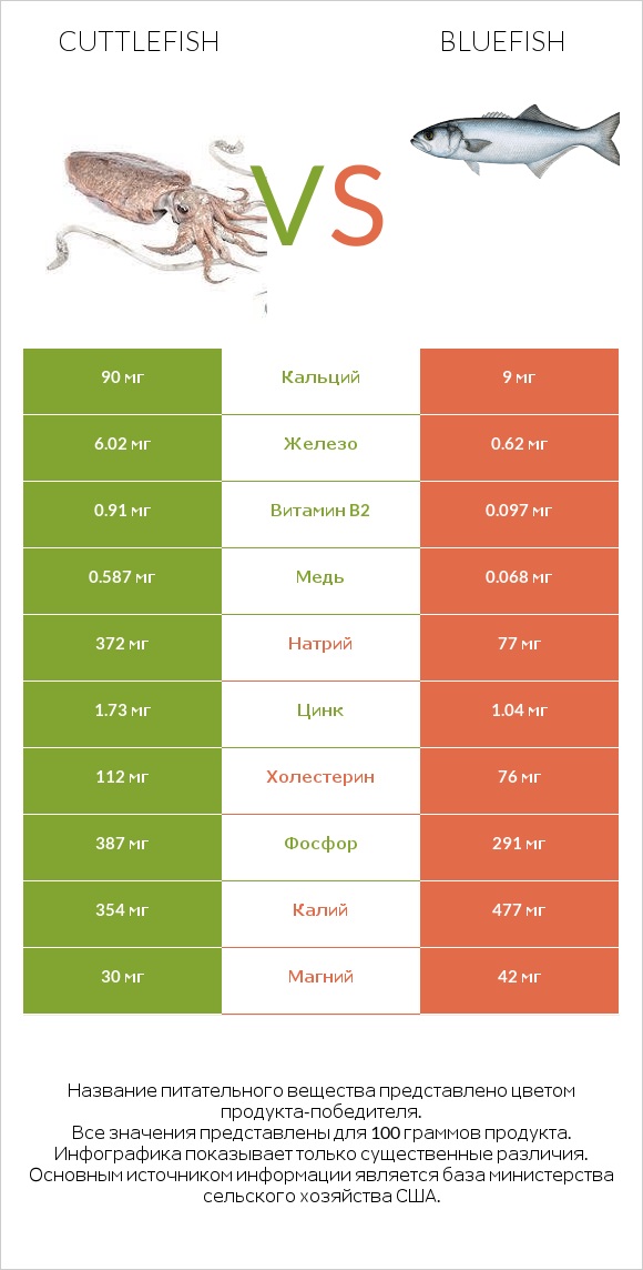 Cuttlefish vs Bluefish infographic