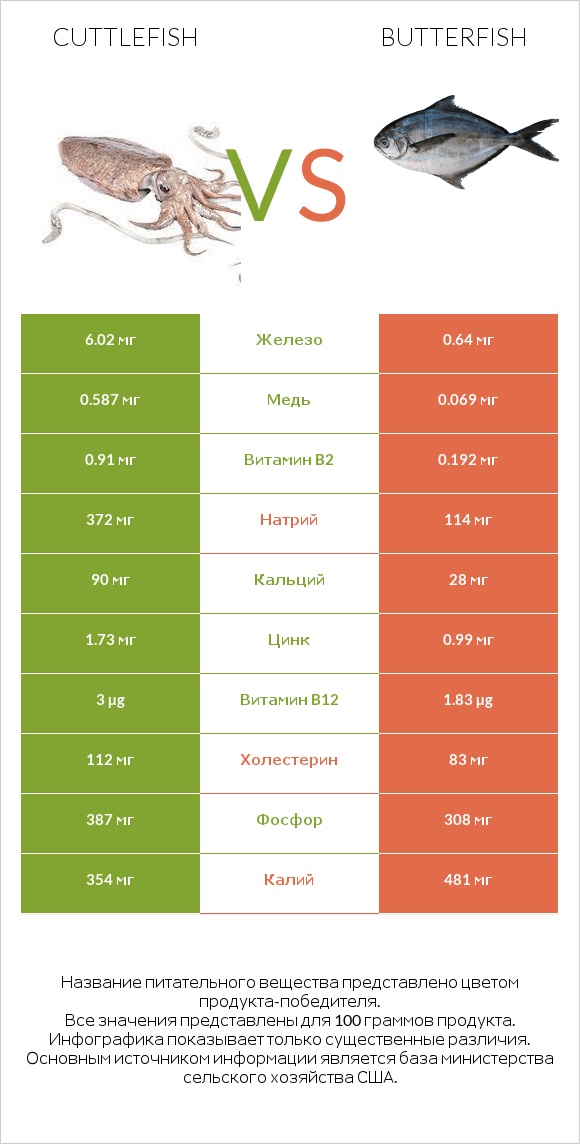 Cuttlefish vs Butterfish infographic