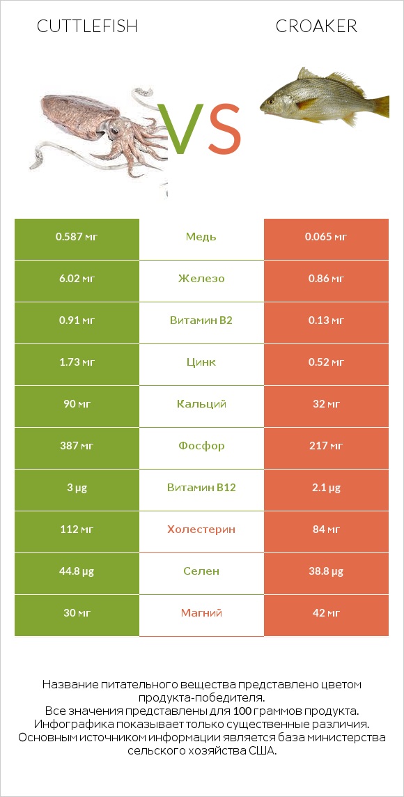 Cuttlefish vs Croaker infographic