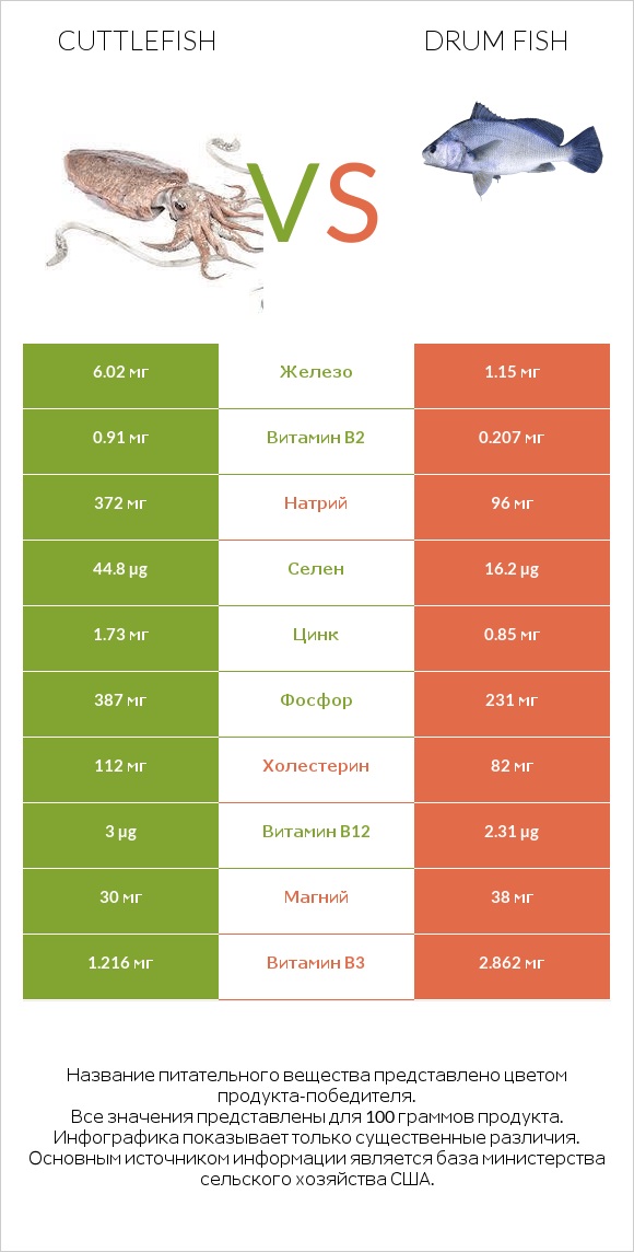 Cuttlefish vs Drum fish infographic