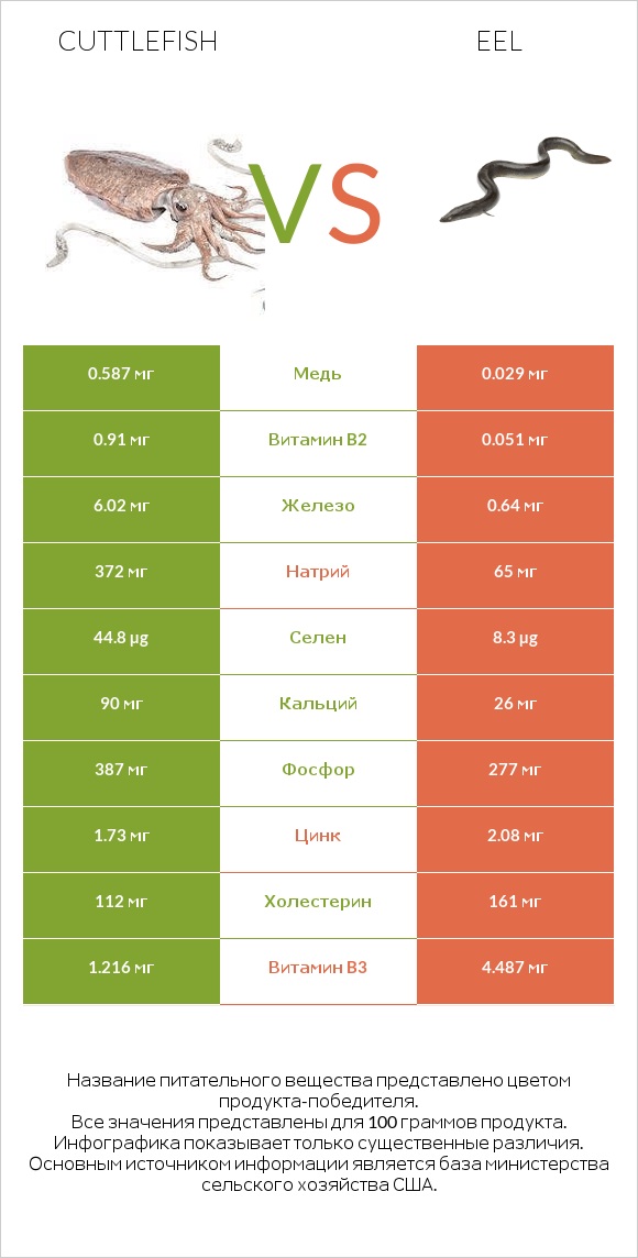 Cuttlefish vs Eel infographic