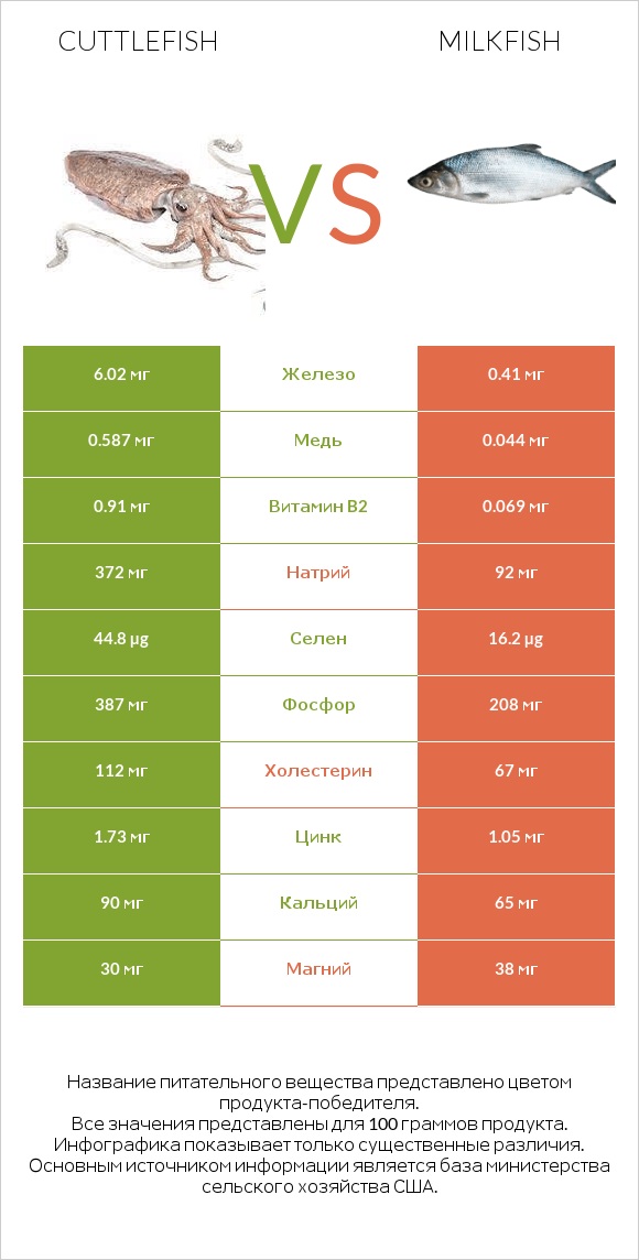 Cuttlefish vs Milkfish infographic