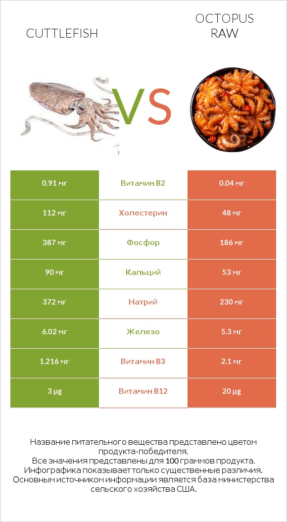 Cuttlefish vs Octopus raw infographic
