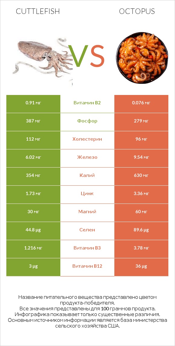 Cuttlefish vs Octopus infographic