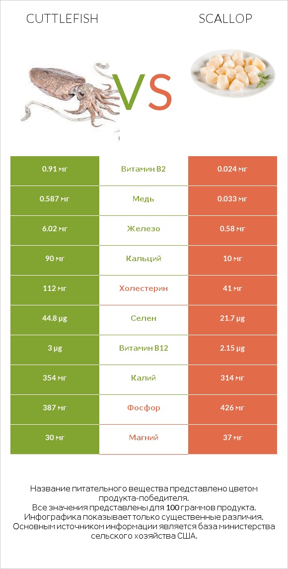 Cuttlefish vs Scallop infographic