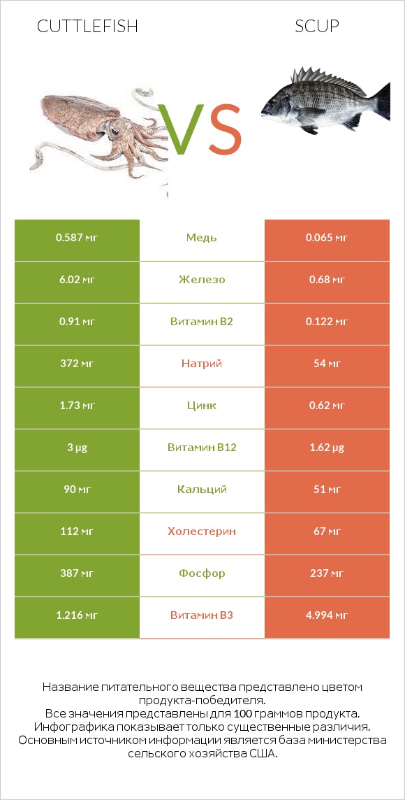 Cuttlefish vs Scup infographic