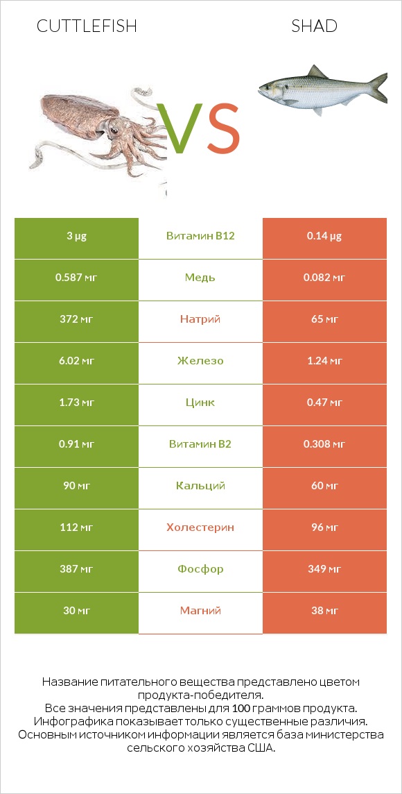 Cuttlefish vs Shad infographic