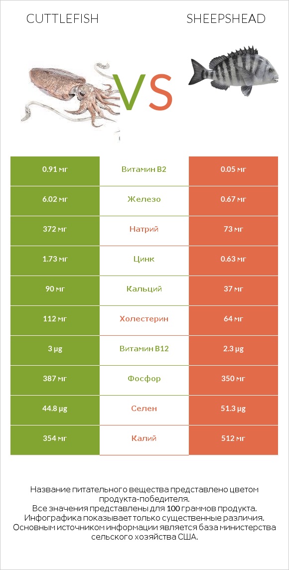 Cuttlefish vs Sheepshead infographic