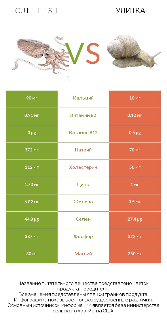 Cuttlefish vs Улитка infographic