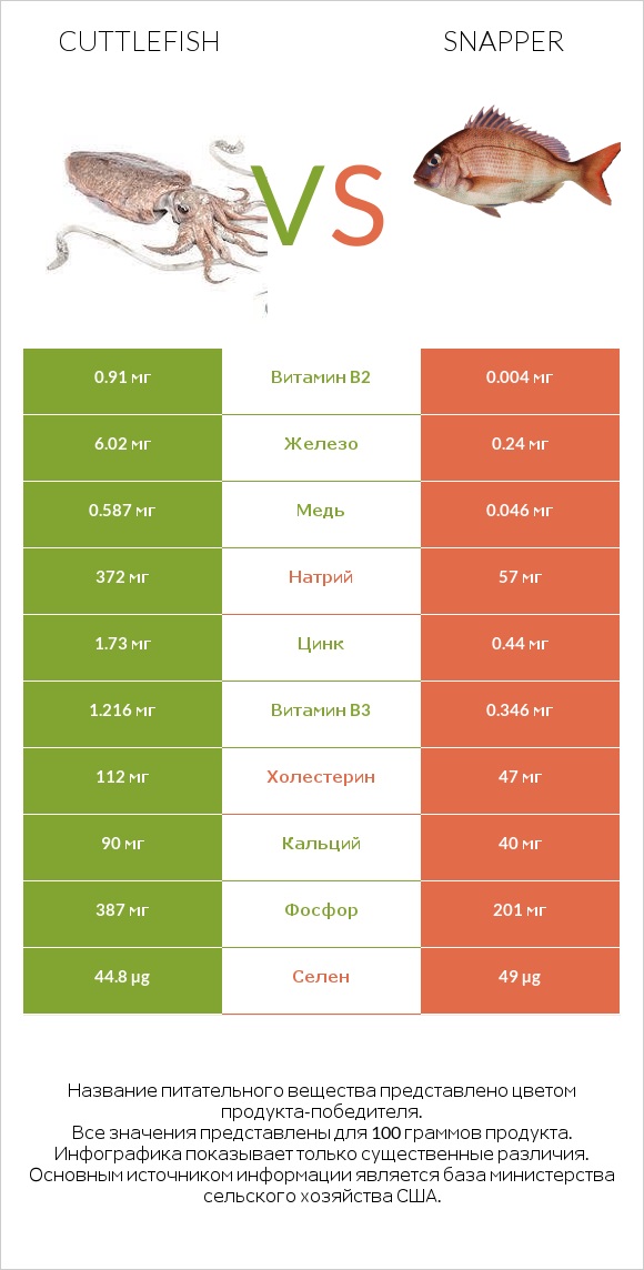 Cuttlefish vs Snapper infographic