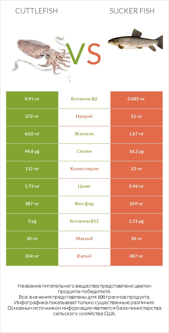 Cuttlefish vs Sucker fish infographic