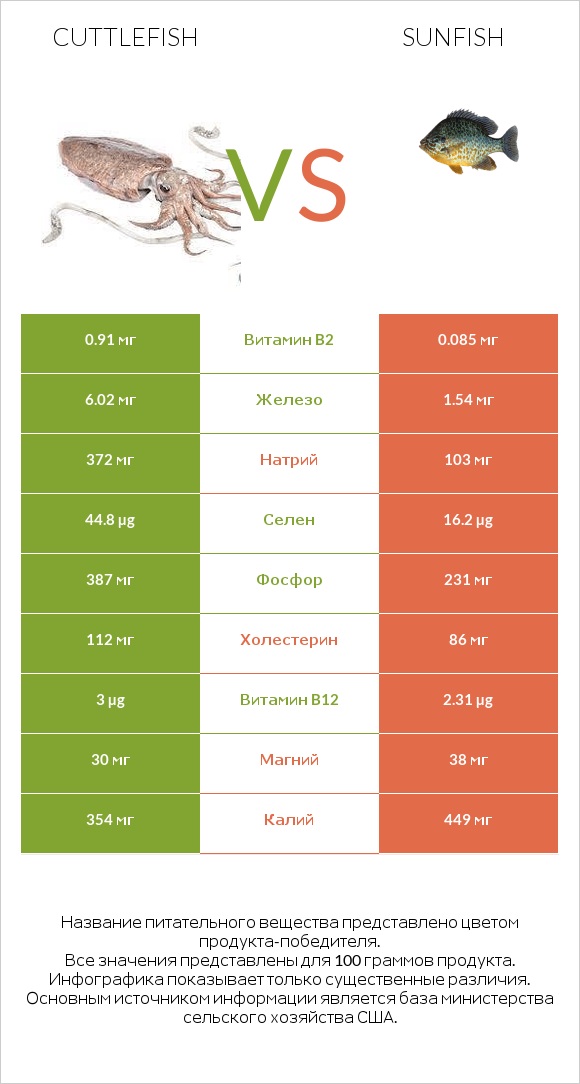 Cuttlefish vs Sunfish infographic