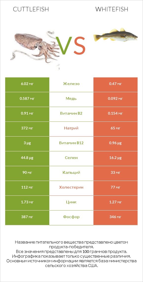 Cuttlefish vs Whitefish infographic