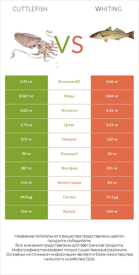 Cuttlefish vs Whiting infographic