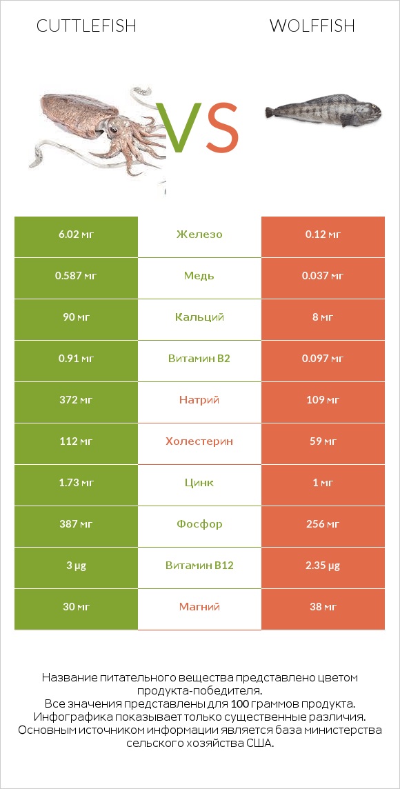 Cuttlefish vs Wolffish infographic