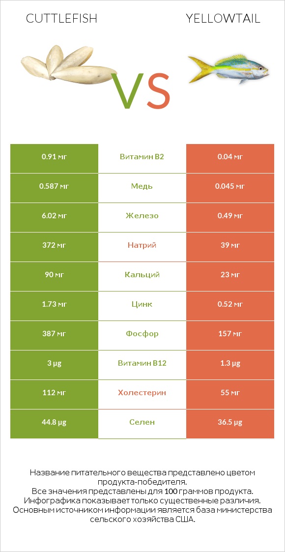 Cuttlefish vs Yellowtail infographic