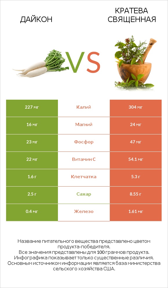 Дайкон vs Кратева священная infographic