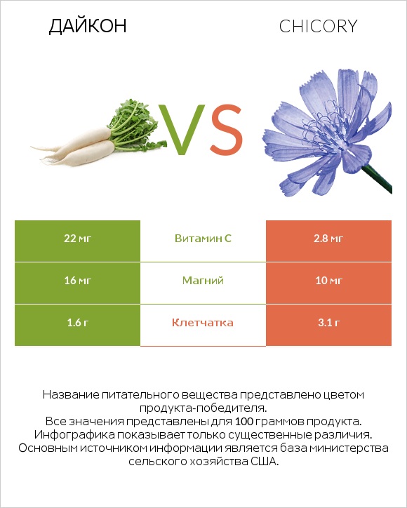 Дайкон vs Chicory infographic