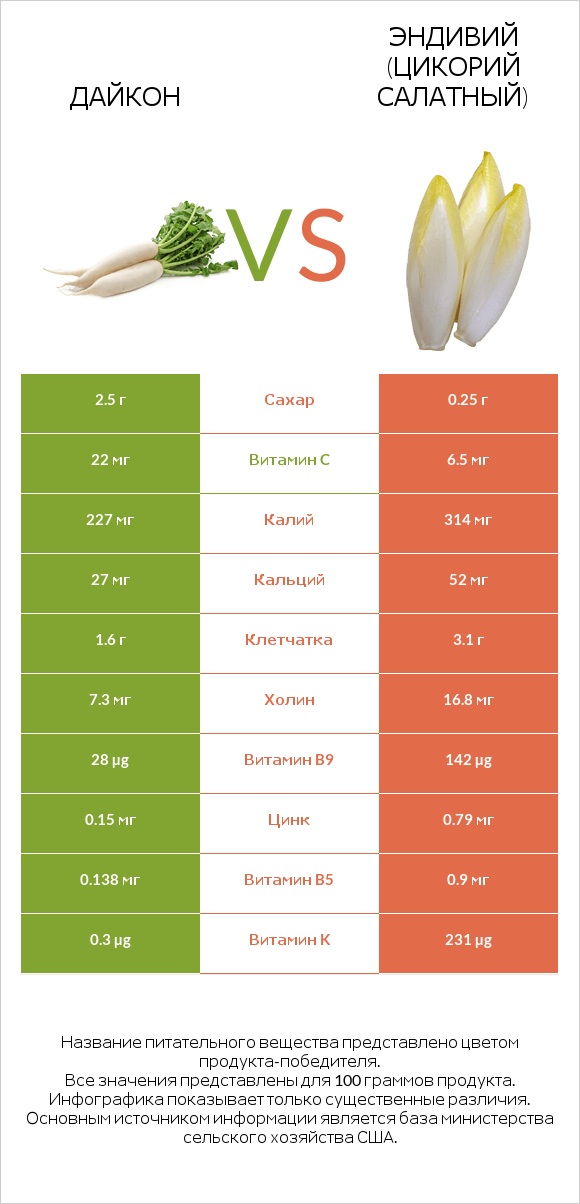 Дайкон vs Эндивий (Цикорий салатный)  infographic