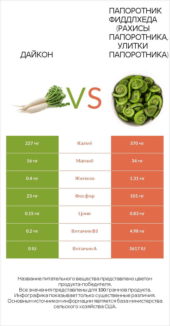 Дайкон vs Fiddlehead ferns infographic