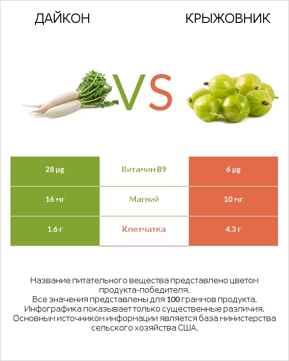 Дайкон vs Крыжовник infographic