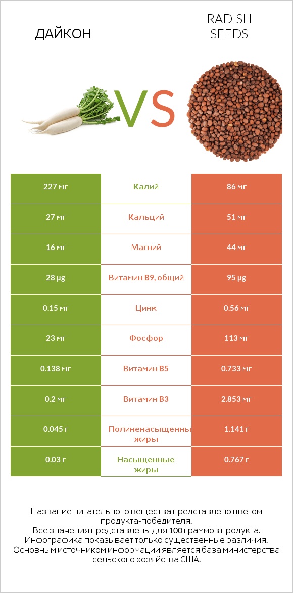 Дайкон vs Radish seeds infographic