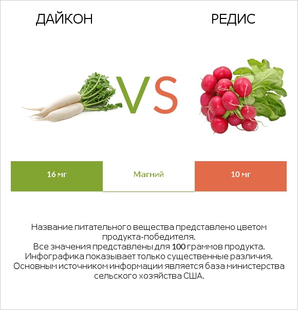 Дайкон vs Редис infographic