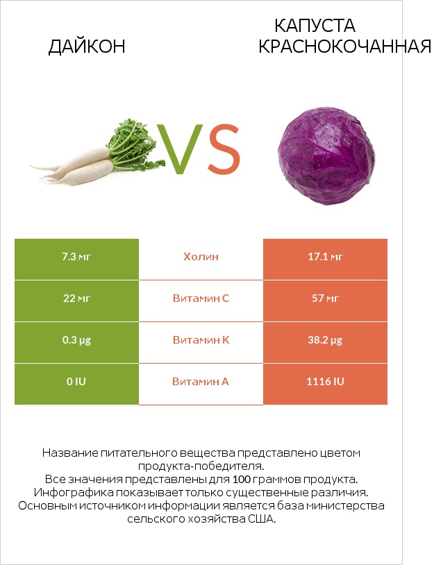 Дайкон vs Капуста краснокочанная infographic