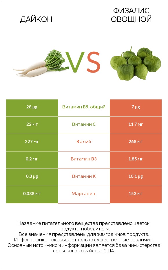 Дайкон vs Физалис овощной infographic