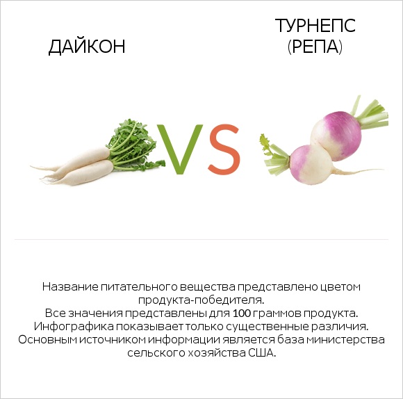 Дайкон vs Турнепс (репа) infographic