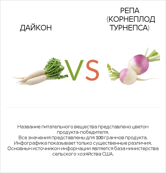 Дайкон vs Репа (корнеплод турнепса) infographic