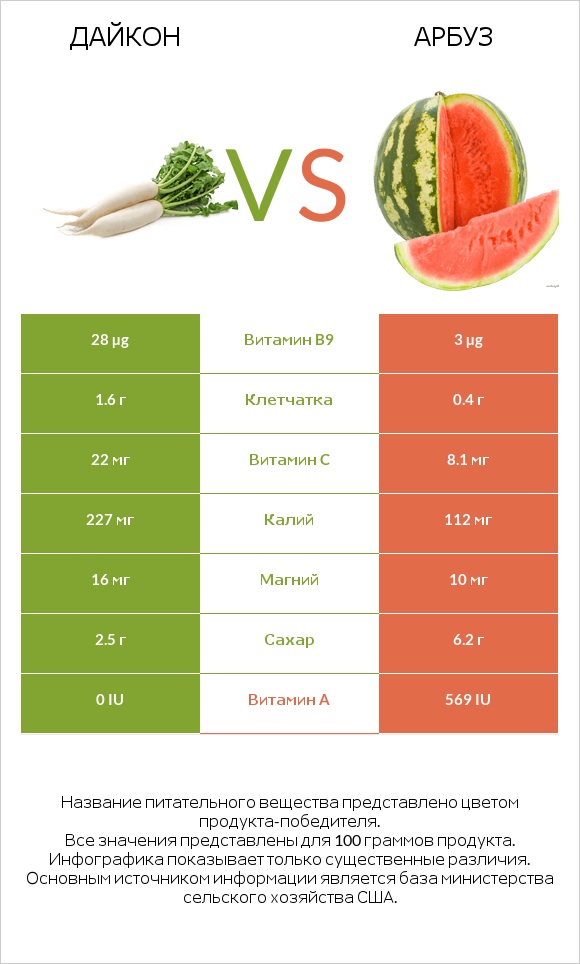 Дайкон vs Арбуз infographic