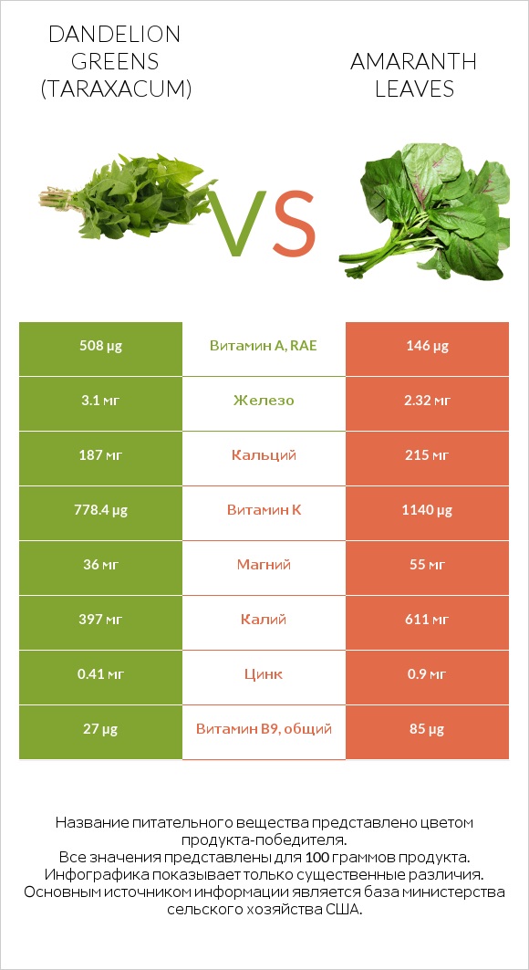 Dandelion greens vs Amaranth leaves infographic