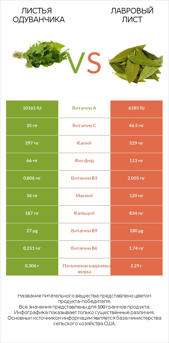 Листья одуванчика vs Лавровый лист infographic