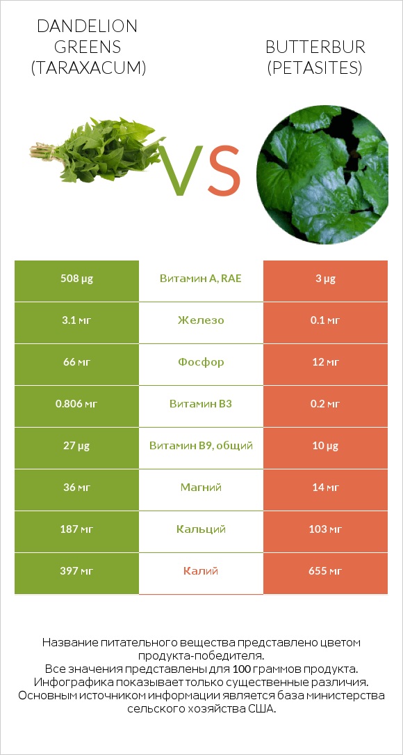 Dandelion greens vs Butterbur infographic