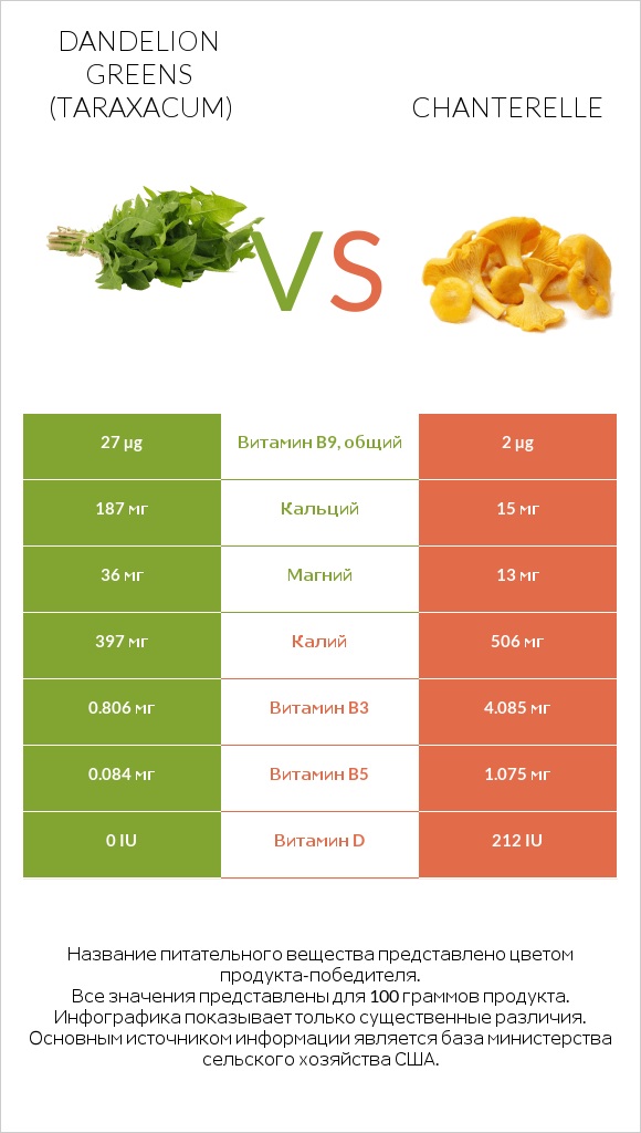 Dandelion greens vs Chanterelle infographic