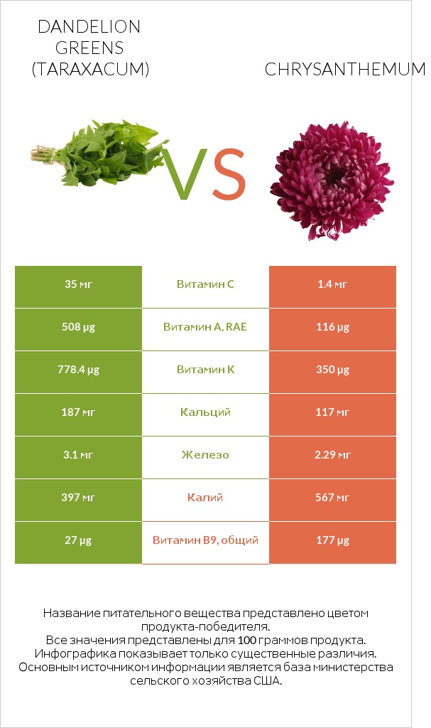 Dandelion greens vs Chrysanthemum infographic