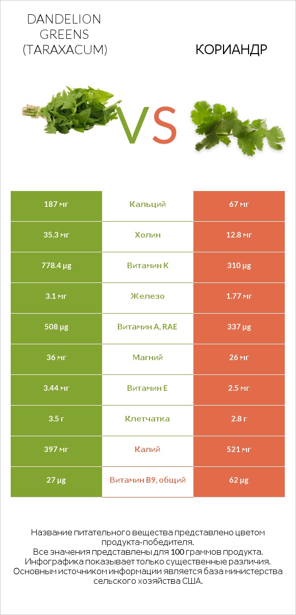 Листья одуванчика vs Кориандр infographic