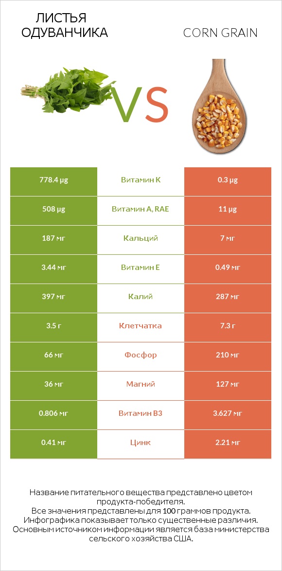 Листья одуванчика vs Corn grain infographic