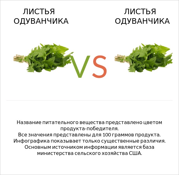 Листья одуванчика vs Листья одуванчика infographic
