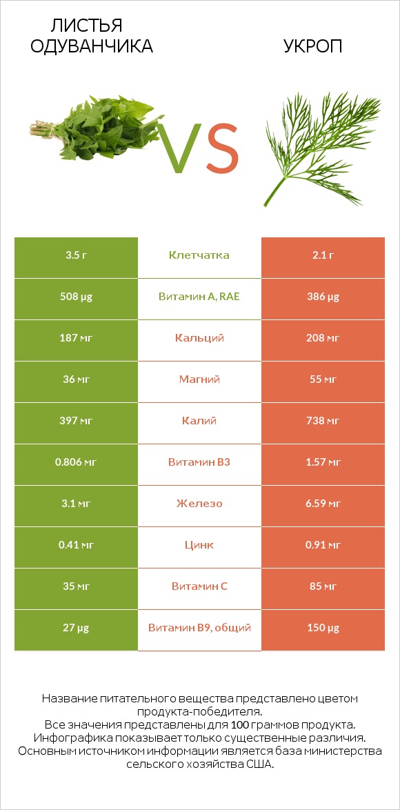 Листья одуванчика vs Укроп infographic