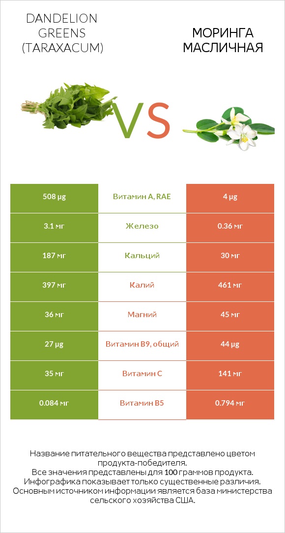 Dandelion greens vs Моринга масличная infographic