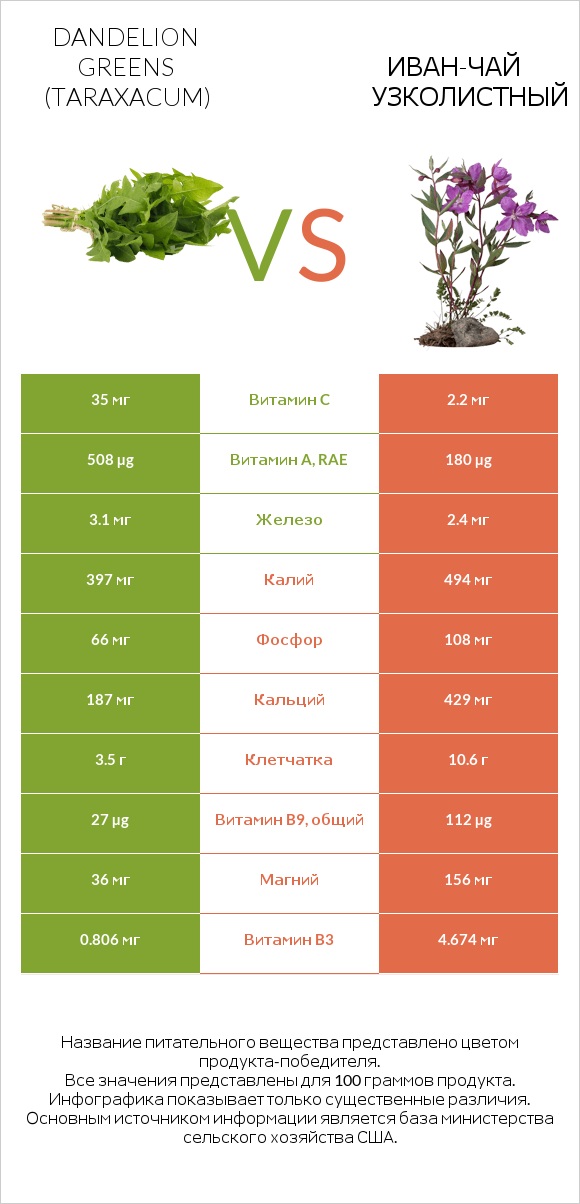 Листья одуванчика vs Иван-чай узколистный infographic