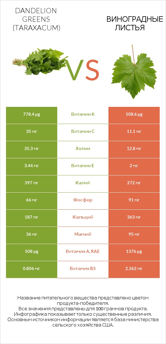 Dandelion greens vs Виноградные листья infographic